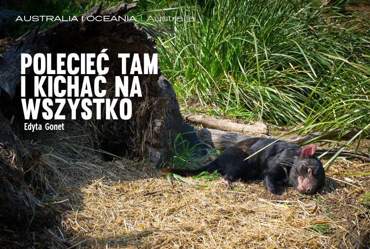 Losowy darmowy artykuł